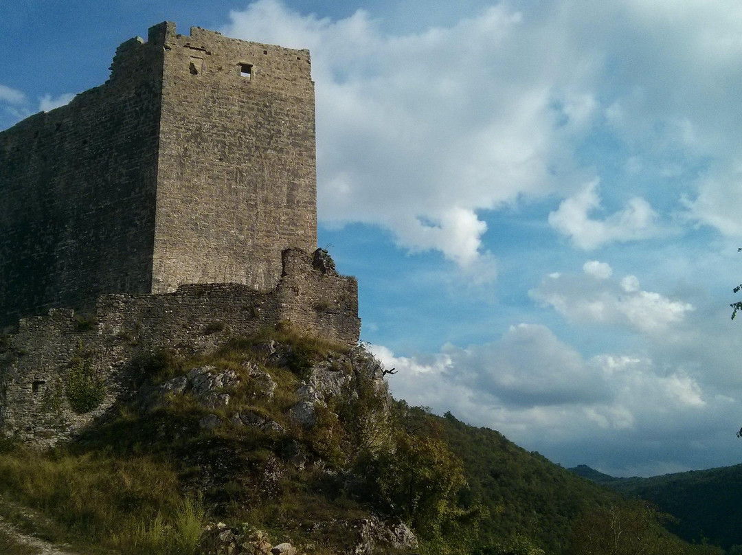 Tours by Histria Guide-波雷奇必去景点