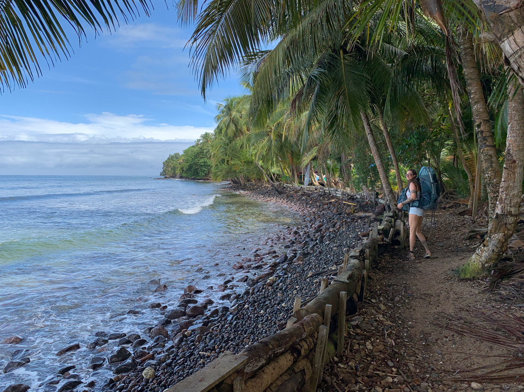 The Firefly Bocas Del Toro主图