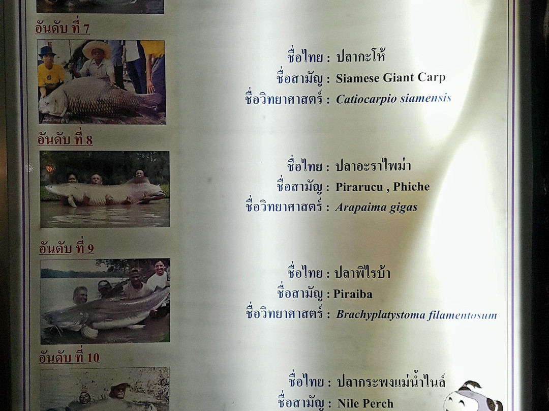 Nong Khai Aquarium景点图片