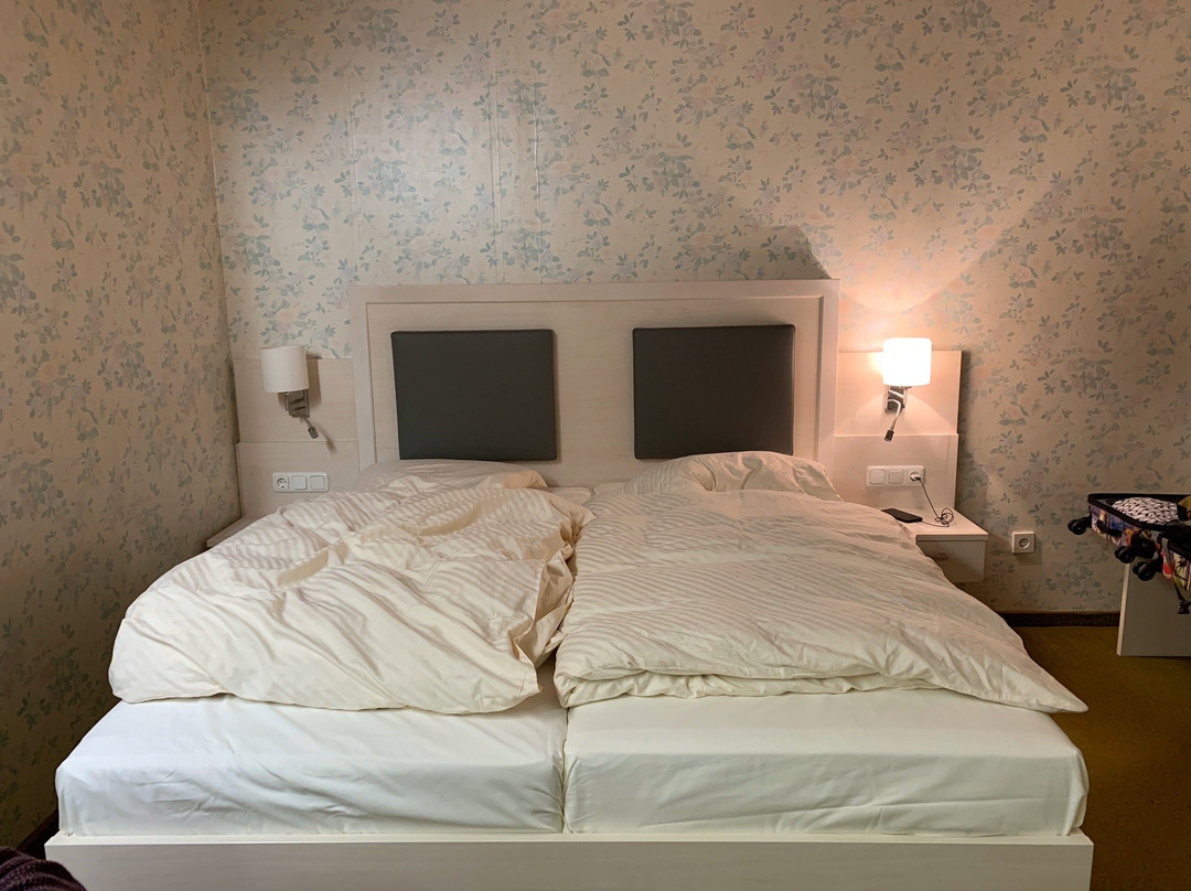 Rhönhotel Alte Mühle主图