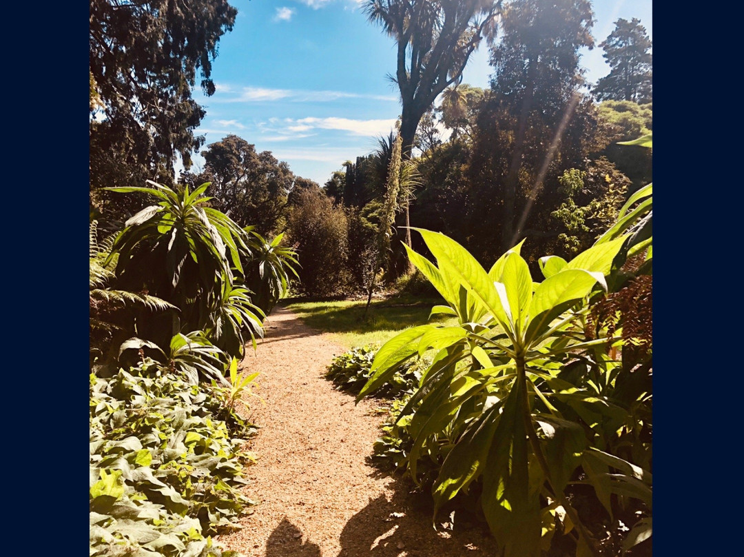 National Botanic Gardens, Kilmacurragh景点图片