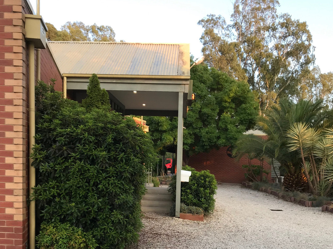 Comfort Inn Coach & Bushmans主图