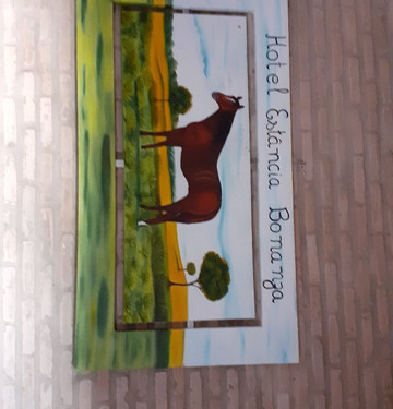 Hotel Estancia Bonanza主图