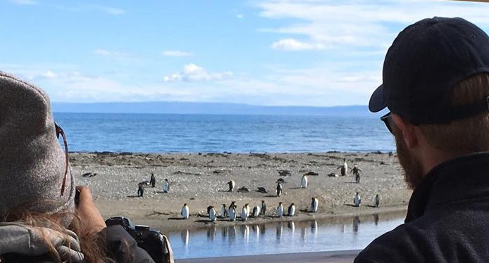 TDF Patagonia TOUR-Porvenir必去景点