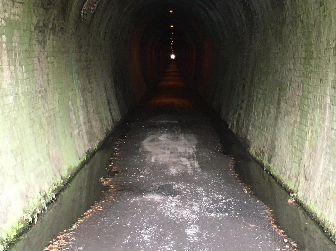 Hauraki Cycle Trail景点图片