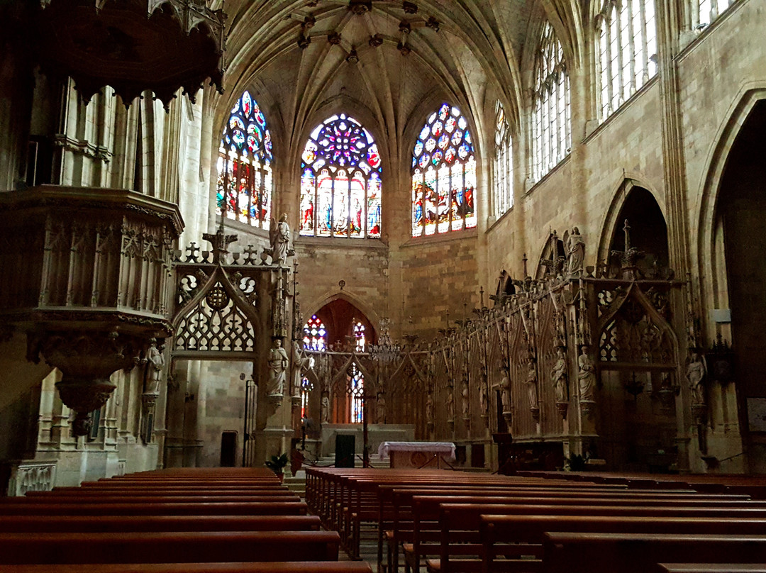 Cathedrale Saint Pierre et son Cloître景点图片