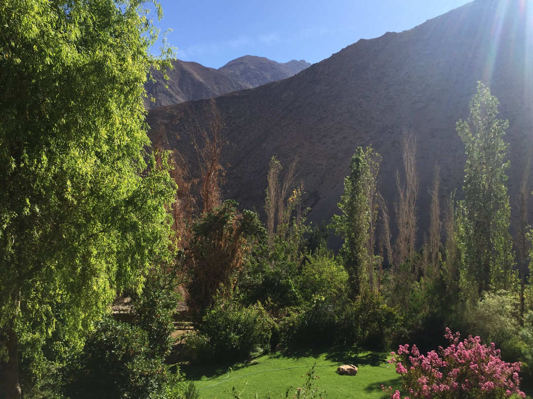 Coquimbo Region旅游攻略图片