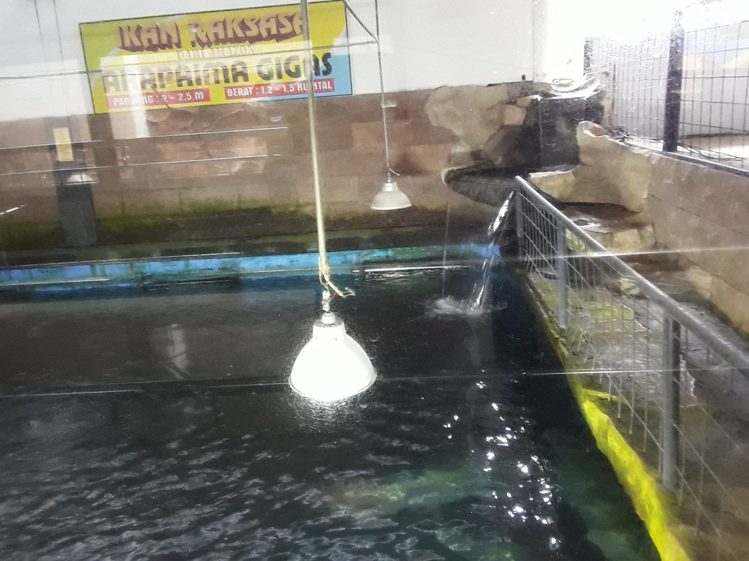 Taman Akuarium Besar Purbasari-普禾加多必去景点