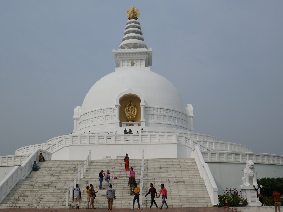 World Peace Pagoda-蓝毗尼必去景点