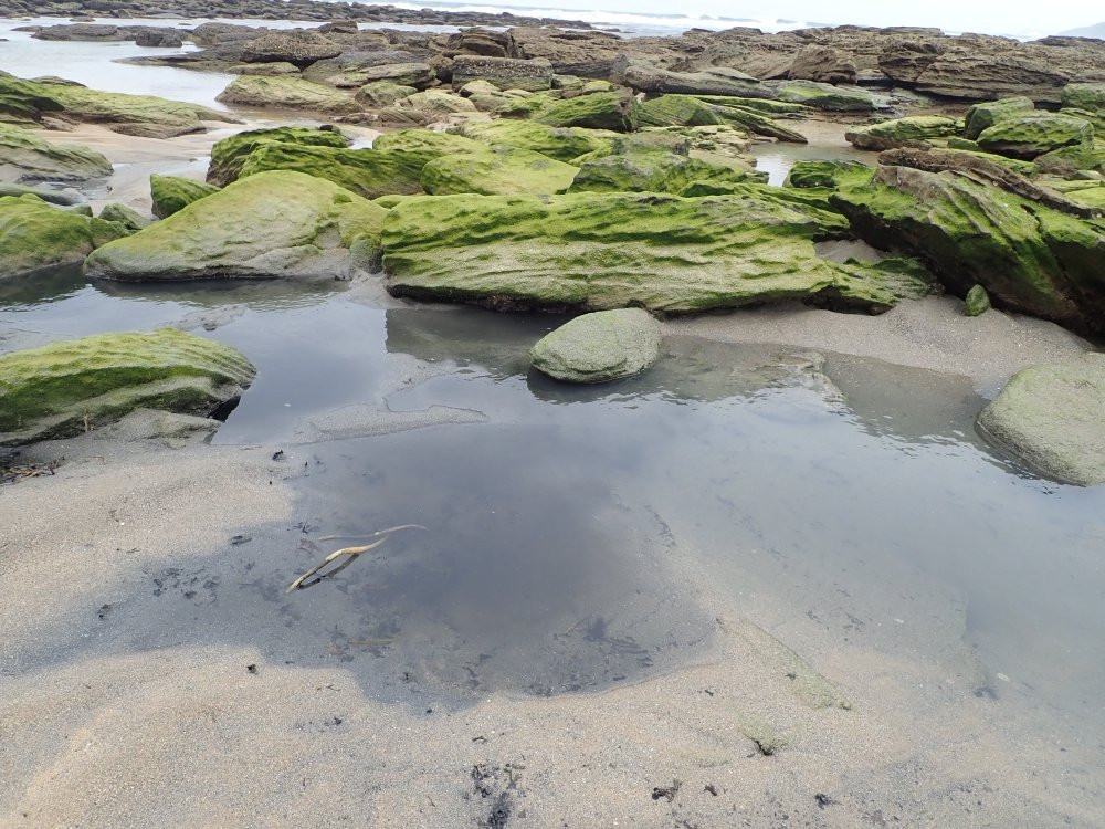 Toowoon Bay Beach-Toowoon Bay必去景点