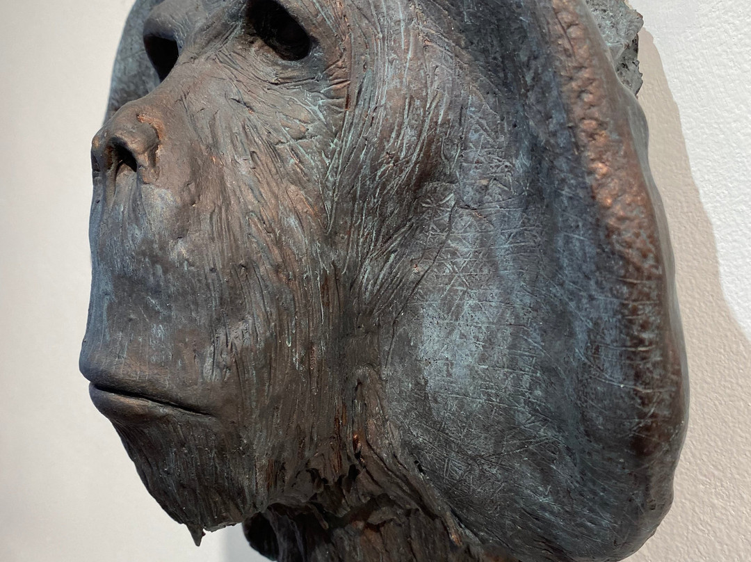 BAU: Beacon Artist Union-Beacon必去景点