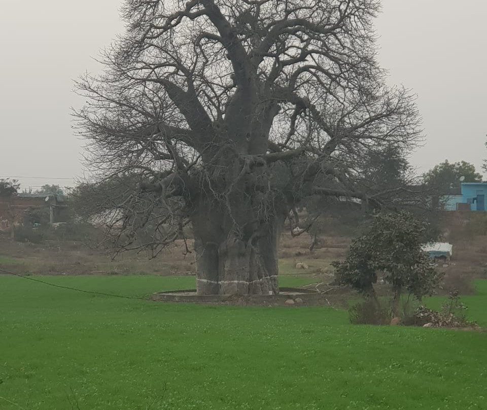 Friends of Orchha主图