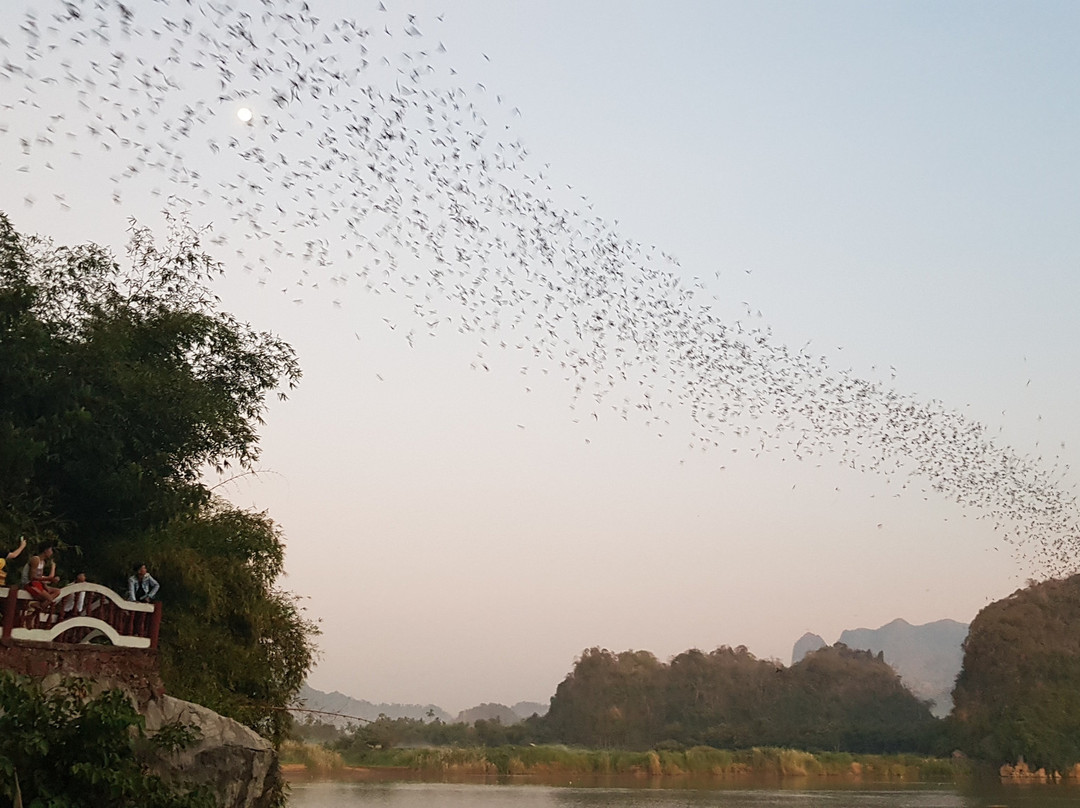 Bat Cave-帕安必去景点