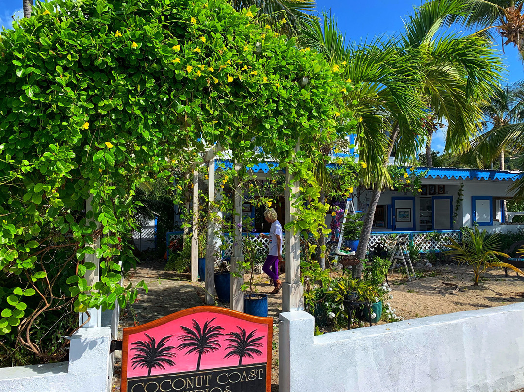 Coconut Coast Studios-圣约翰必去景点