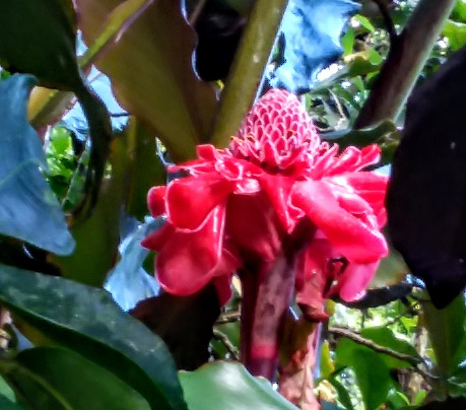 Finca Cántaros景点图片