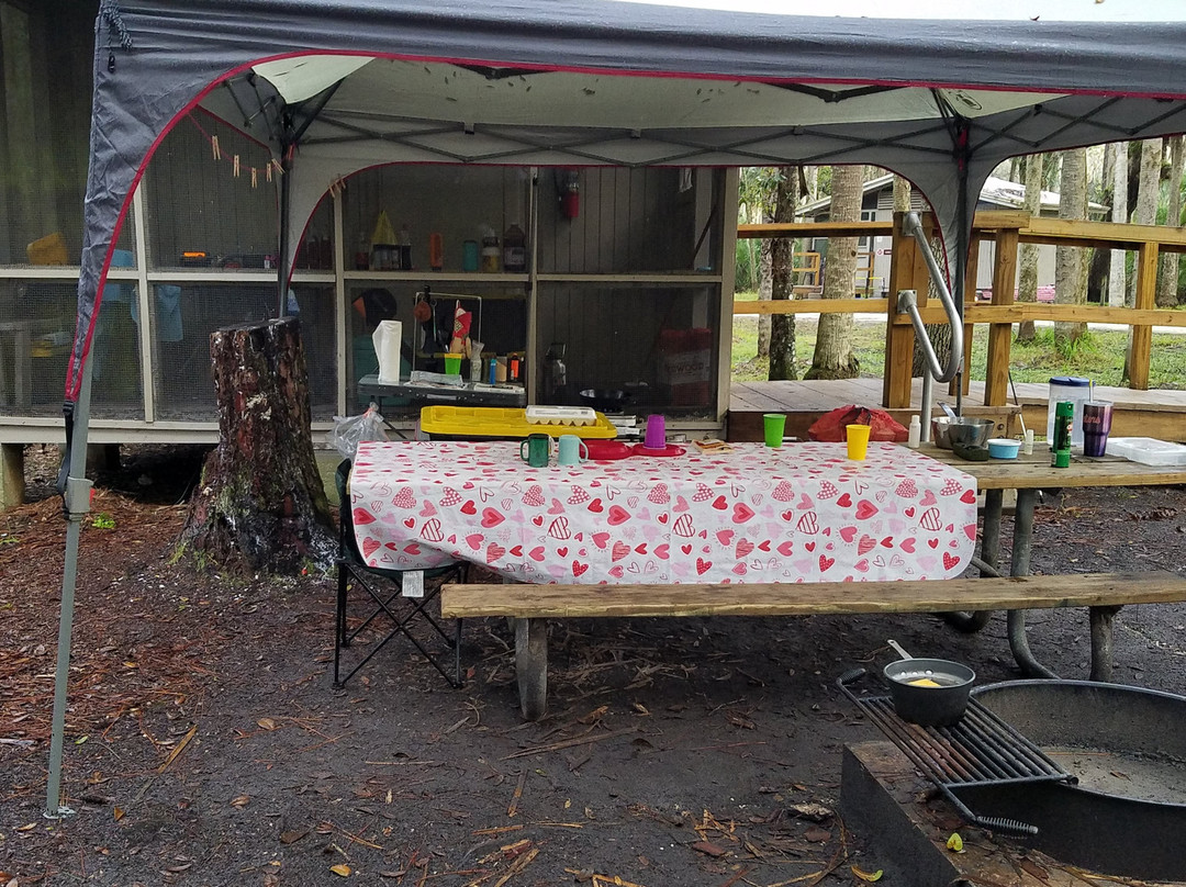 Hontoon Island State Park-迪兰必去景点