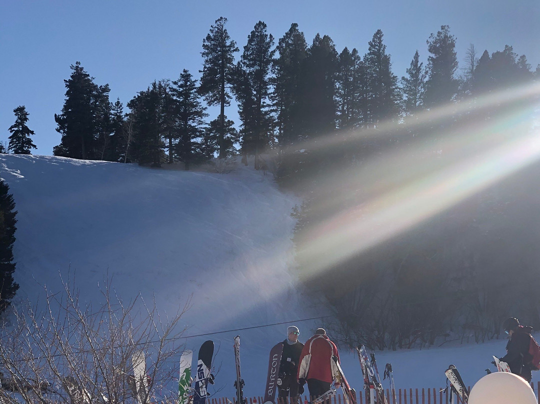 Sandia Peak Ski Area-Sandia Park必去景点