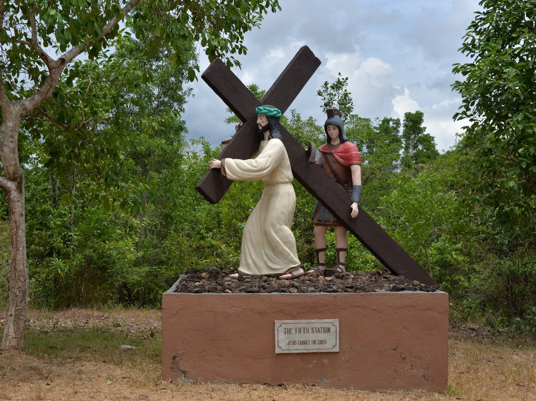 Holy Family Hills景点图片