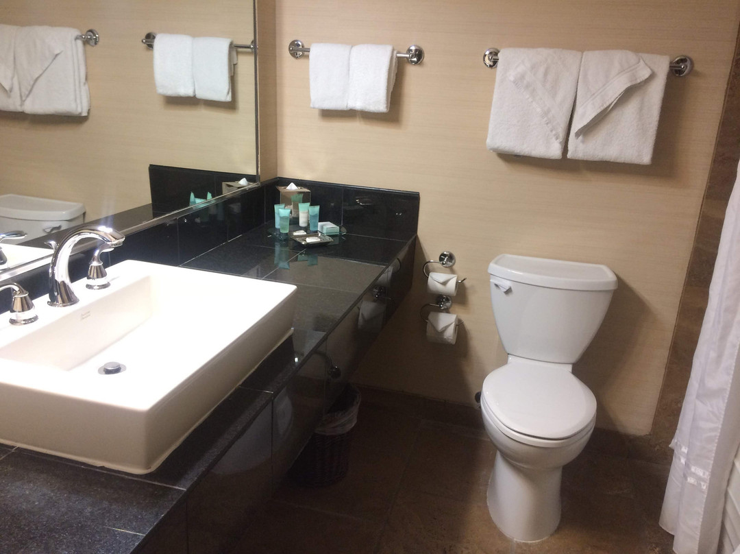 普利斯提格金色旅馆主图