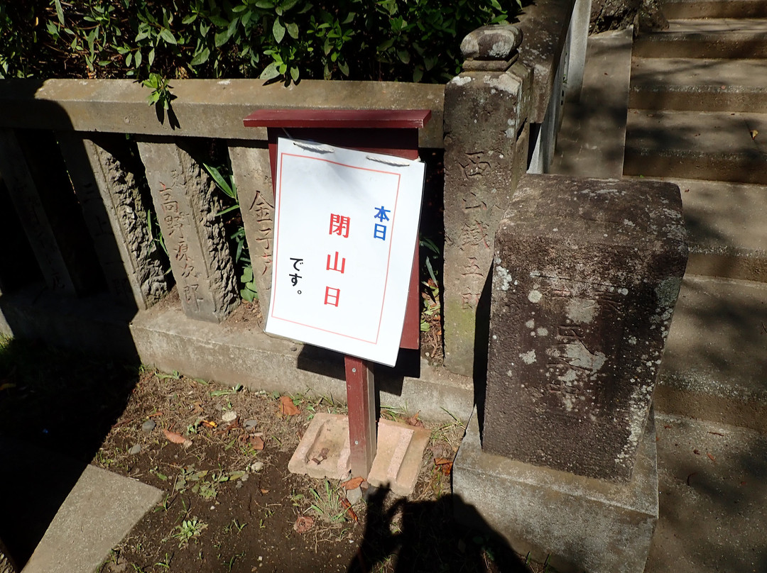 Tagoyama Fujizuka-志木市必去景点