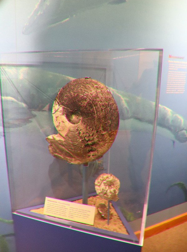 Makoshika State Park Visitor's Center-Glendive必去景点