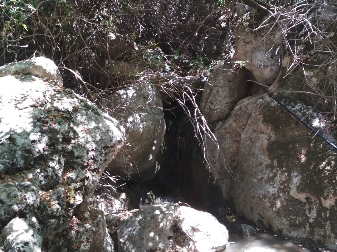 Anydri Gorge-Anidri必去景点