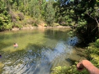 Alligators Nest-Tully必去景点