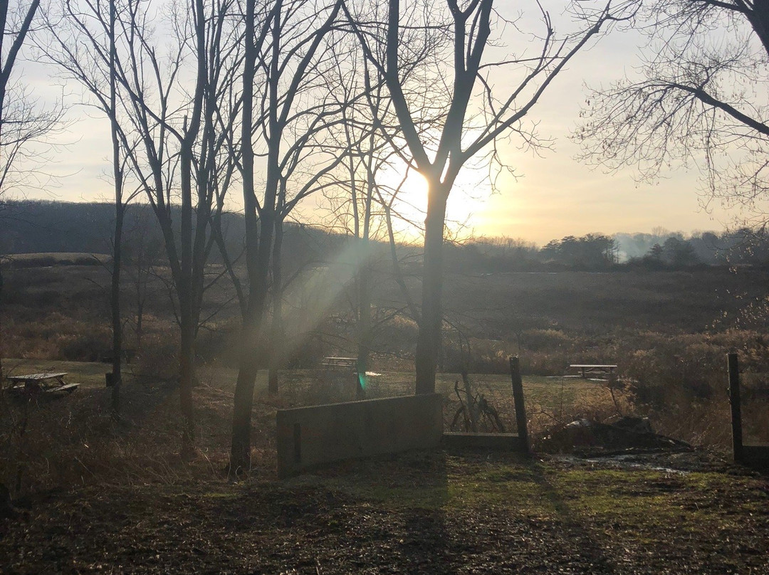 Tarrywile Park & Mansion-丹伯里必去景点