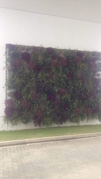 San Diego Legacy-家庭/游戏区