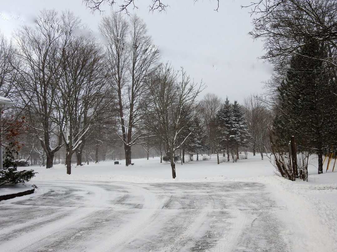 Antigonish Victorian Inn主图