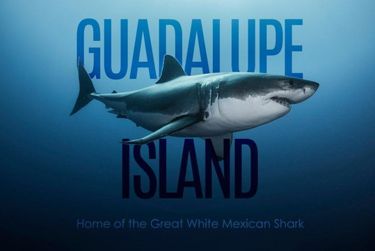 Cantamar Liveaboards-Isla Socorro必去景点