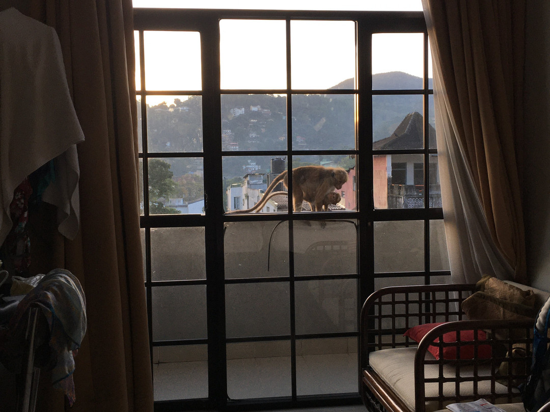 塞瓦纳城市酒店主图