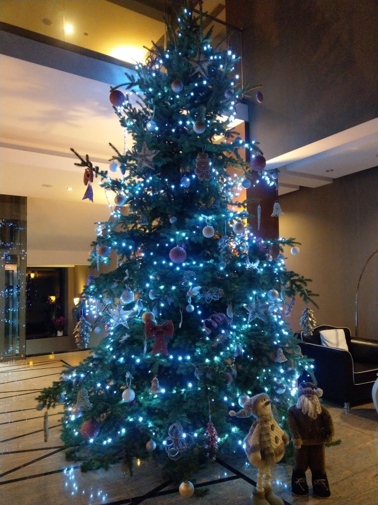Hotel Alhar-官方