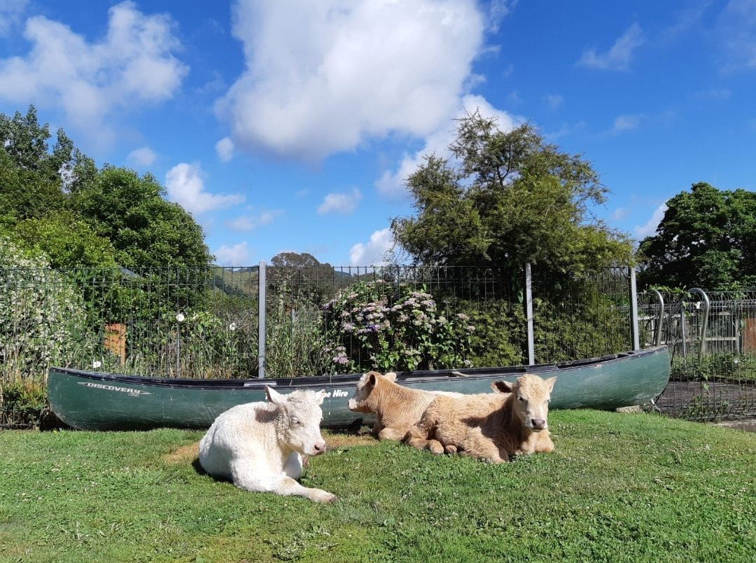 Taumarunui Canoe Hire and Jet Boat Tours景点图片