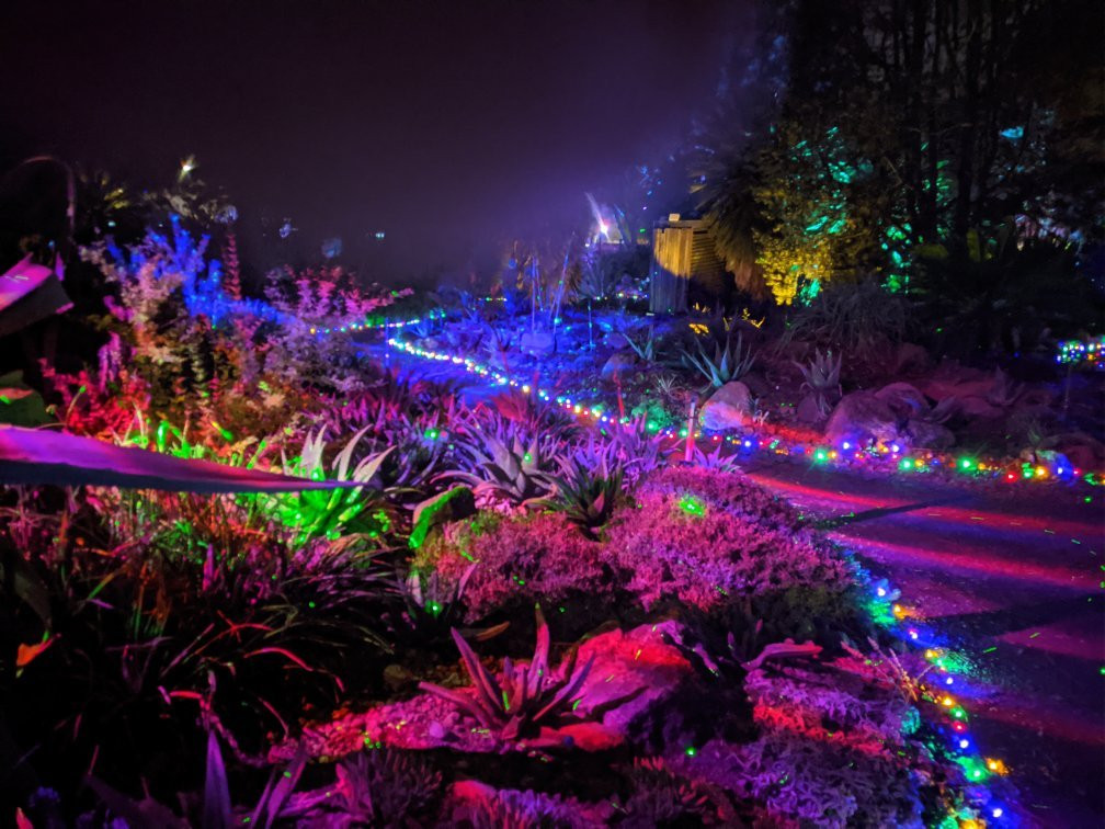 The Ruth Bancroft Garden-核桃溪必去景点