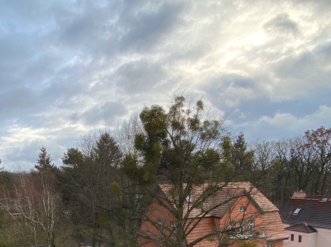 Hotel Ambassador Babelsberg主图