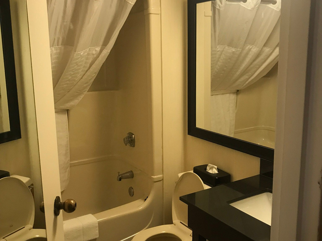 Comfort Inn Kenora主图