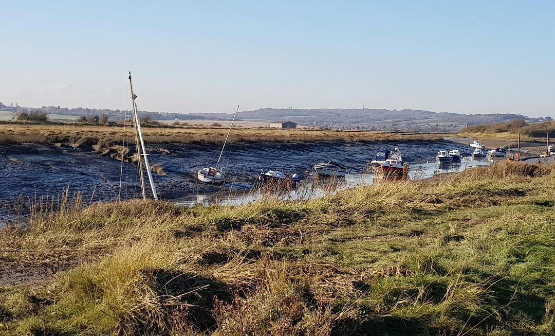 Wat Tyler Country Park景点图片