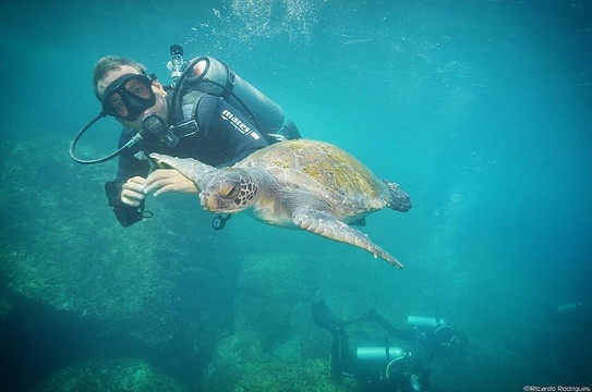 Arraial Vertical-阿拉伊阿尔港必去景点