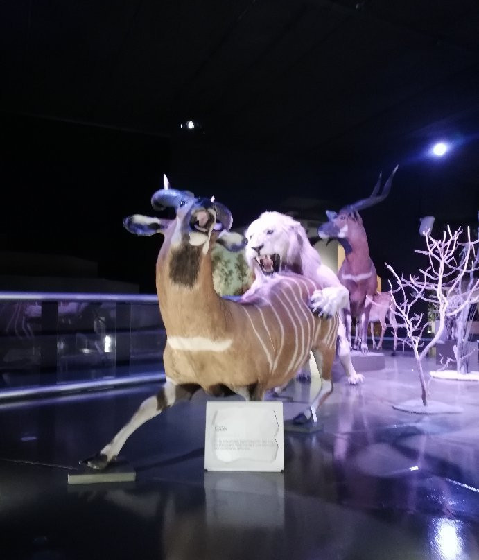 Museo de la Evolucion Puebla (Museum of Evolution Puebla)-普埃布拉必去景点