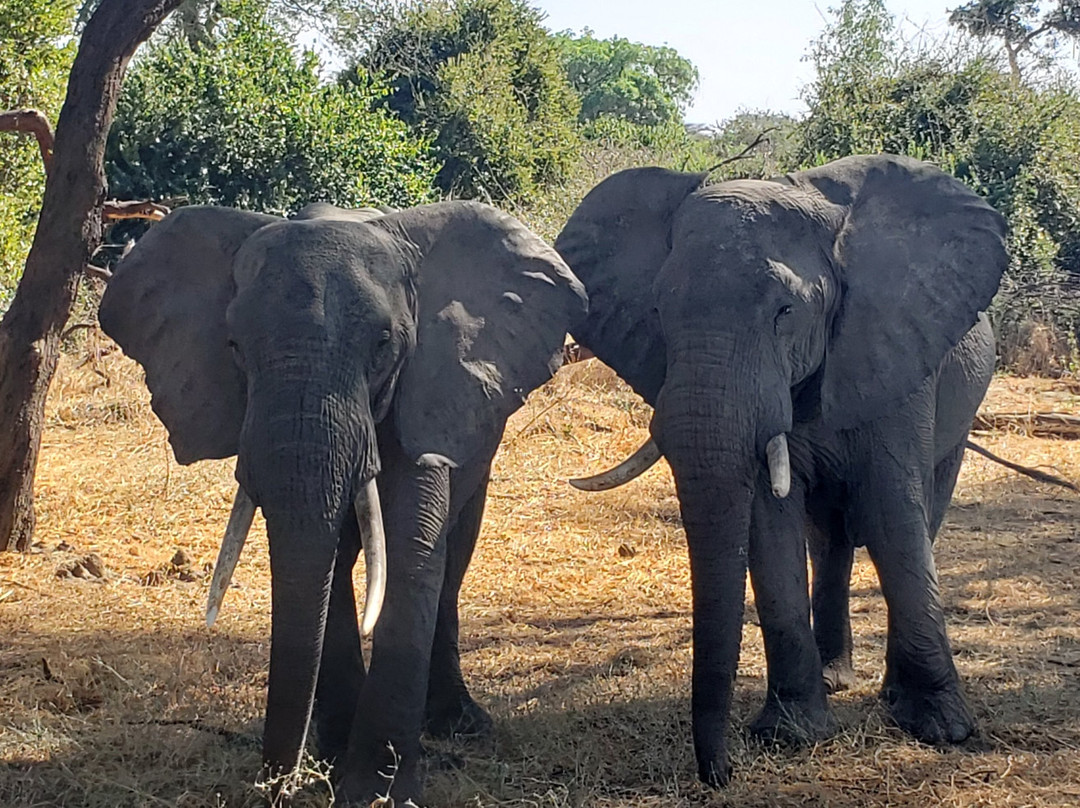 CRA Safari Tours-Iringa必去景点