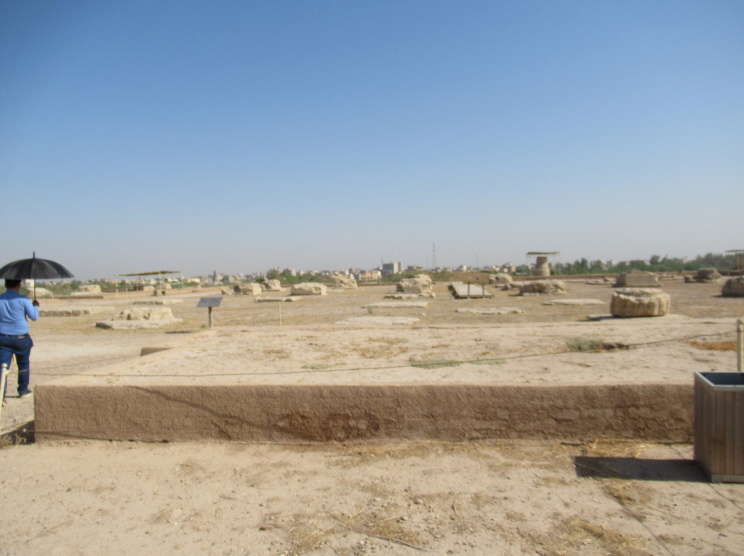 Apadana Castle Shush景点图片