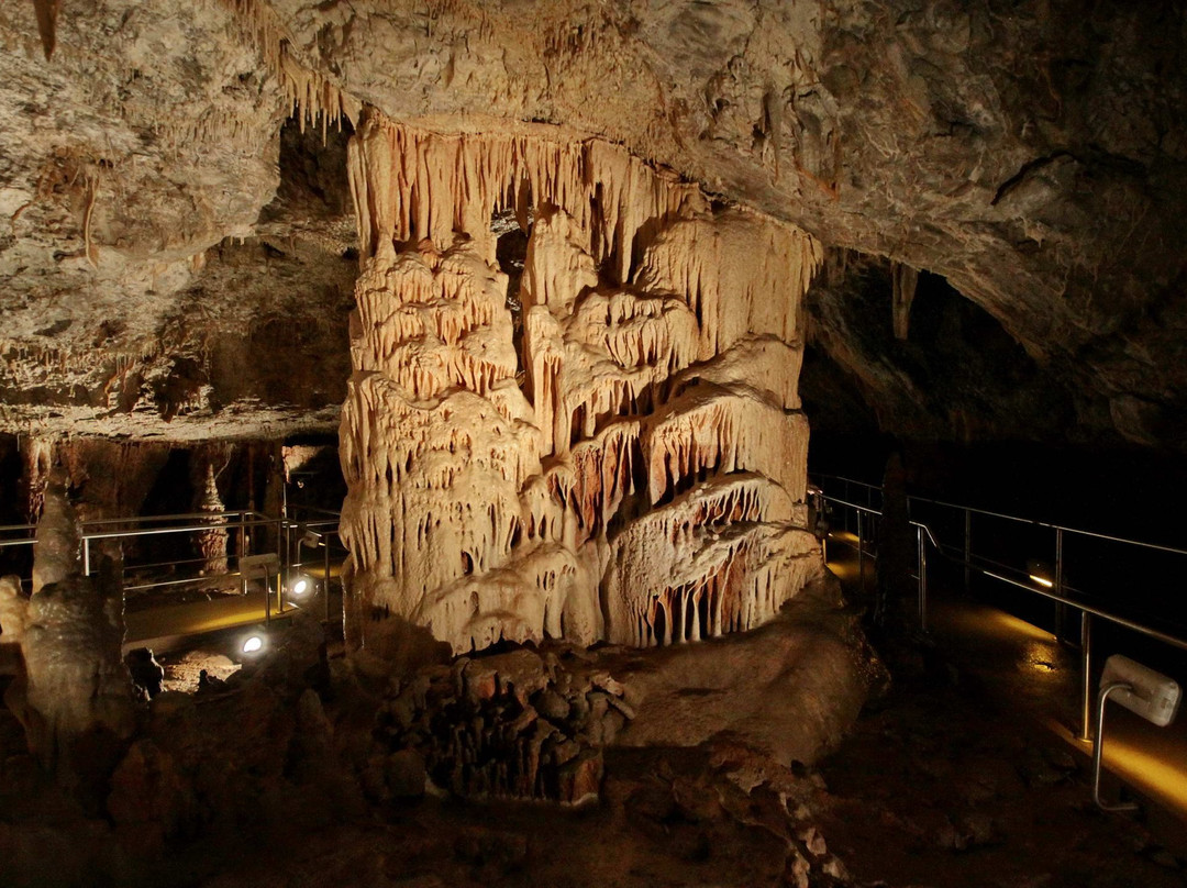 Eudaimonia Private Tours-雅典必去景点