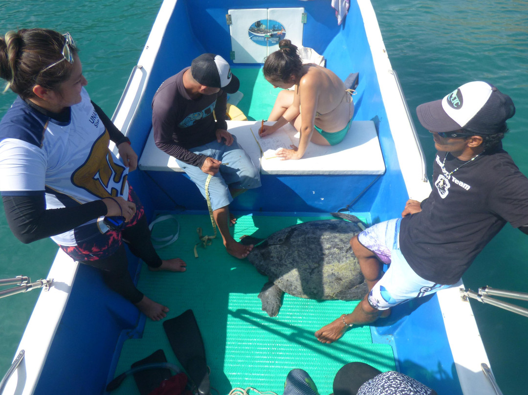Salinas Bay Research Center-El Jobo必去景点