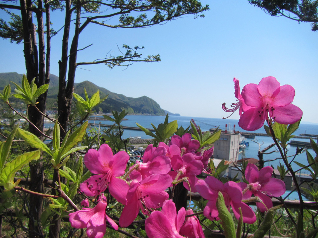 Fukushima Daijingu Shrine-福岛町必去景点