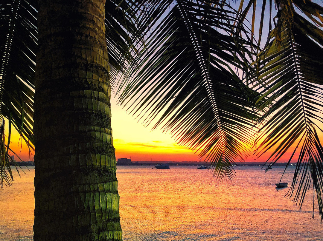 Tanzania Serengeti Safaris-桑给巴尔岛必去景点