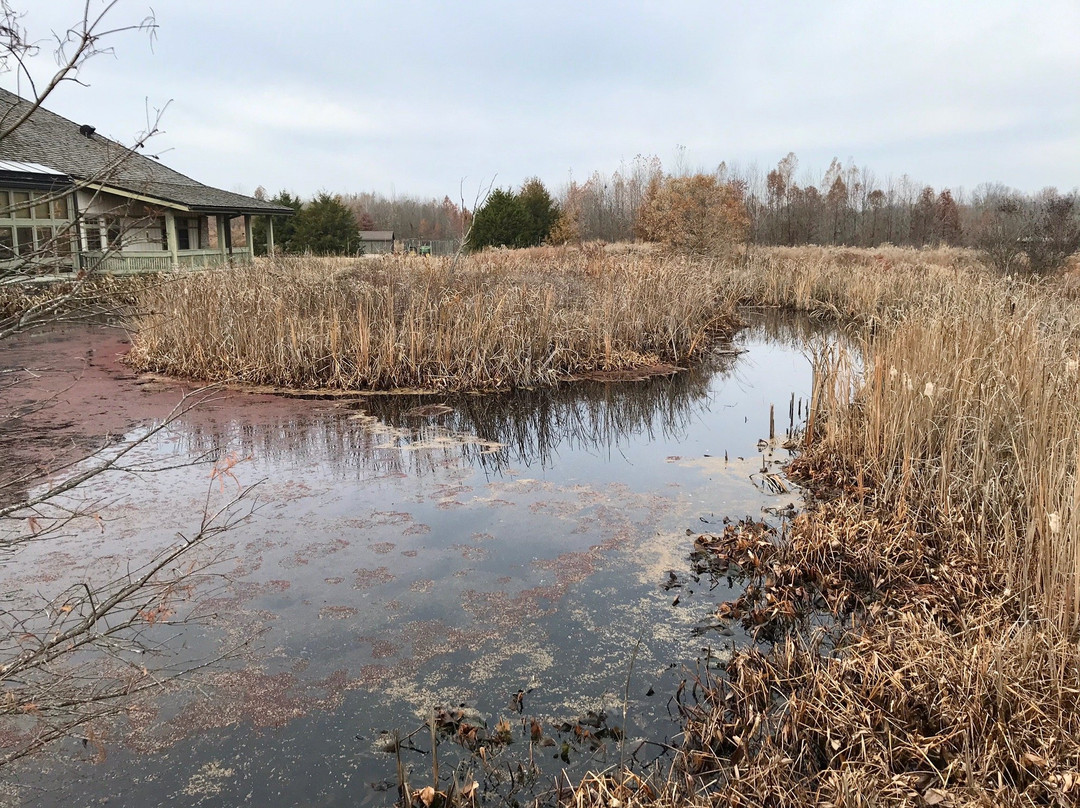 Henry N Barkhausen Cache River Wetlands Center-Cypress必去景点