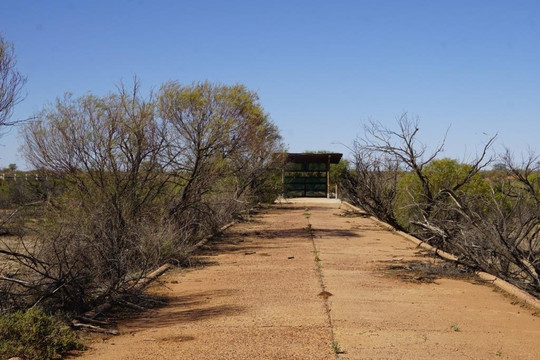 Lake Bindegolly National Park-Thargomindah必去景点