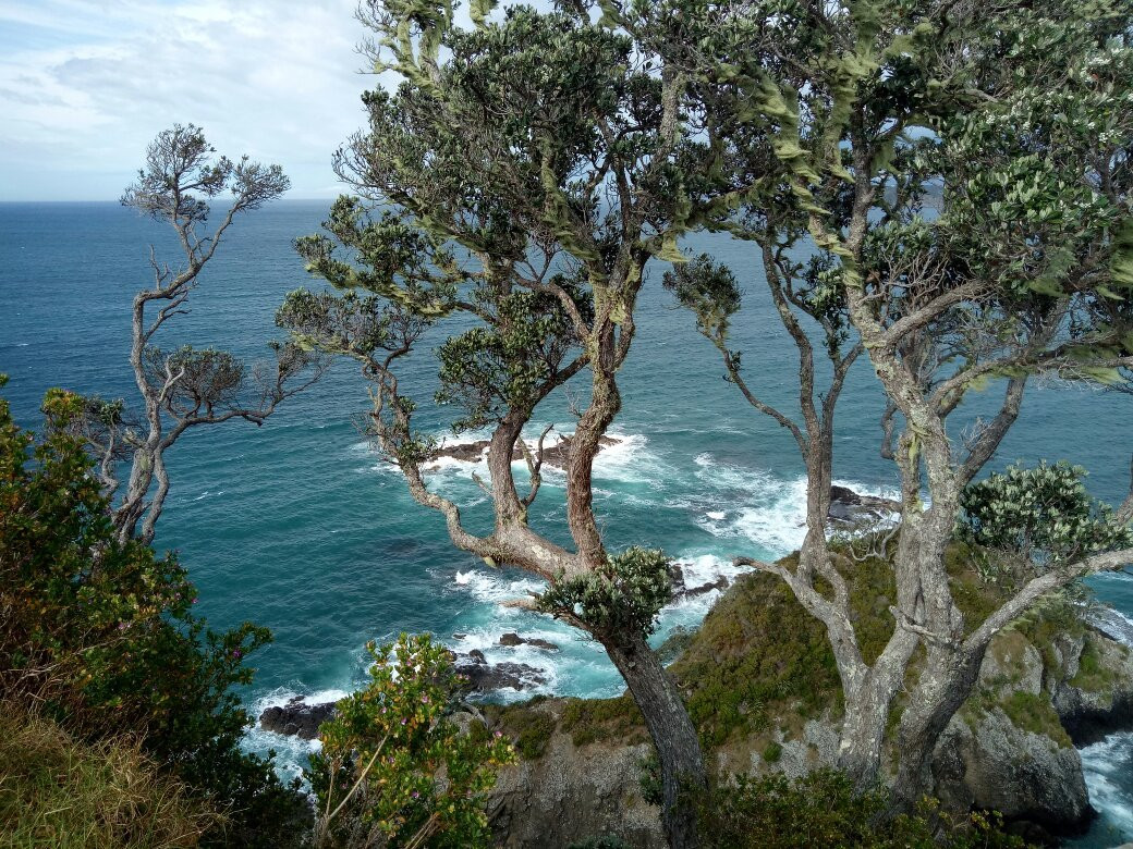 Tapeka Point Track景点图片