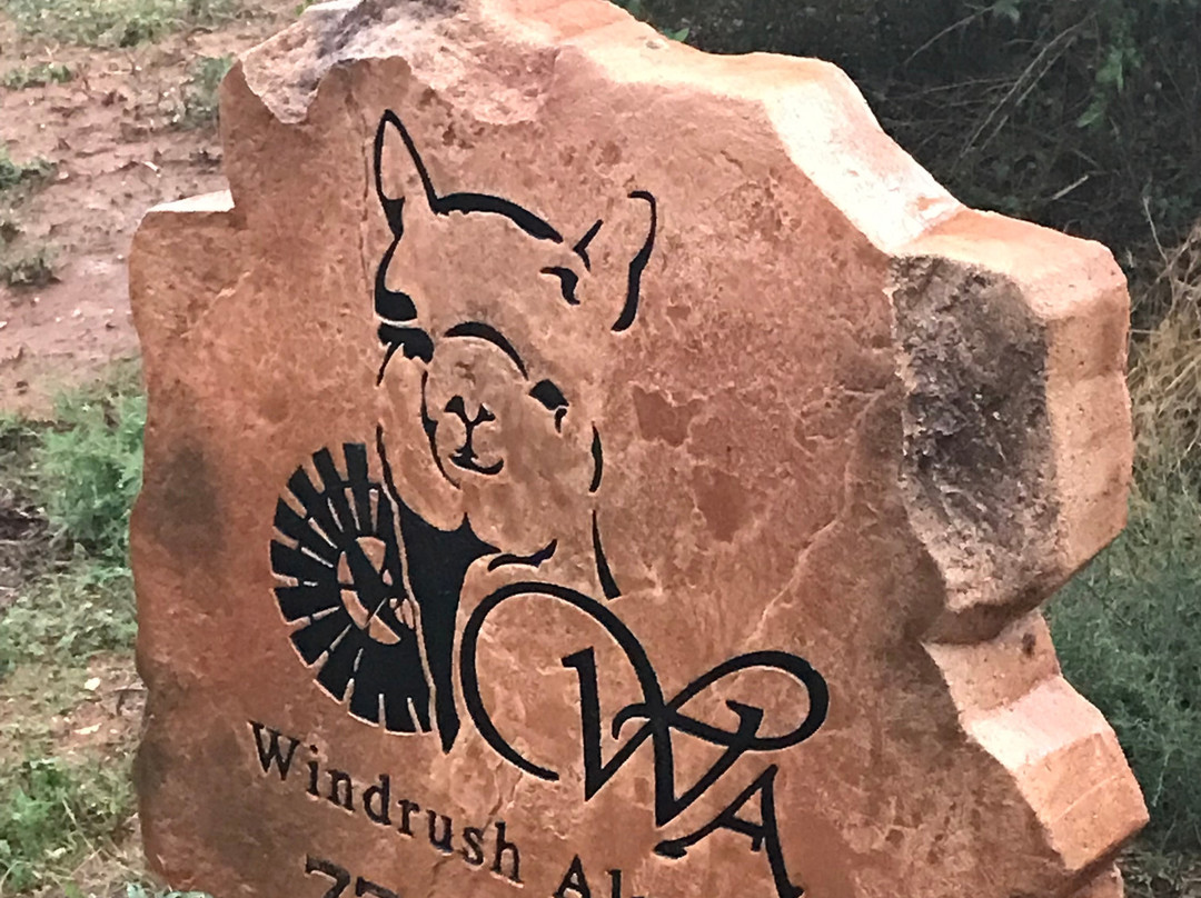 Windrush Alpacas景点图片